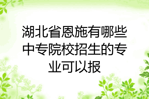 湖北省恩施有哪些中专院校招生的专业可以报