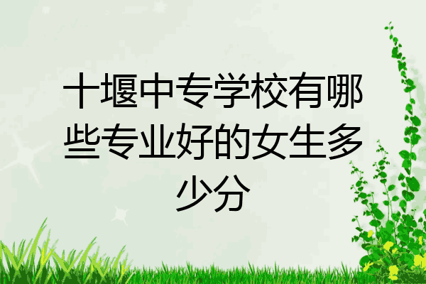 十堰中专学校有哪些专业好的女生多少分