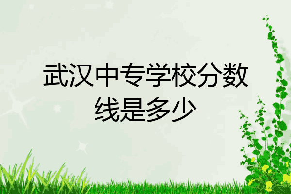 武汉中专学校分数线是多少
