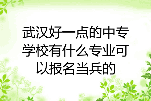 武汉好一点的中专学校有什么专业可以报名当兵的
