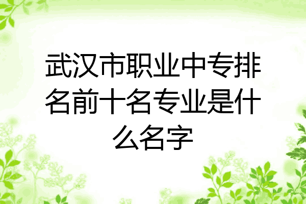 武汉市职业中专排名前十名专业是什么名字