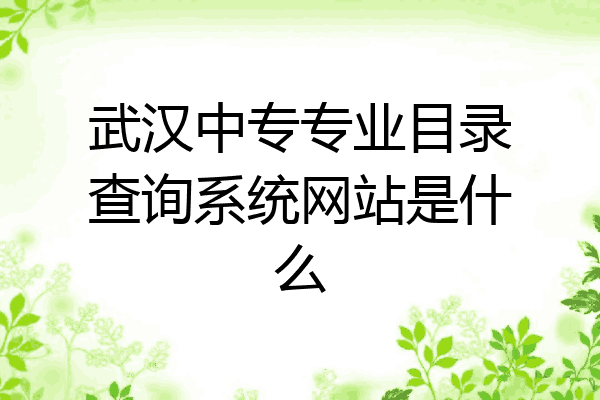 武汉中专专业目录查询系统网站是什么