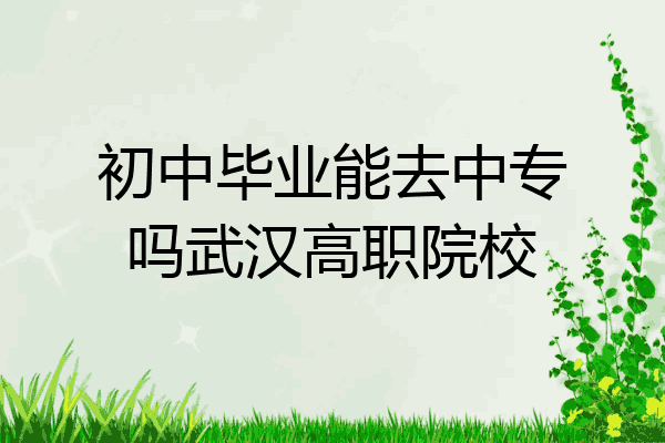 初中毕业能去中专吗武汉高职院校