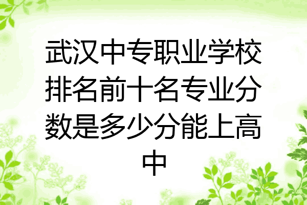 武汉中专职业学校排名前十名专业分数是多少分能上高中