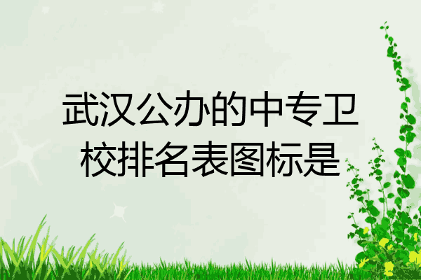 武汉公办的中专卫校排名表图标是