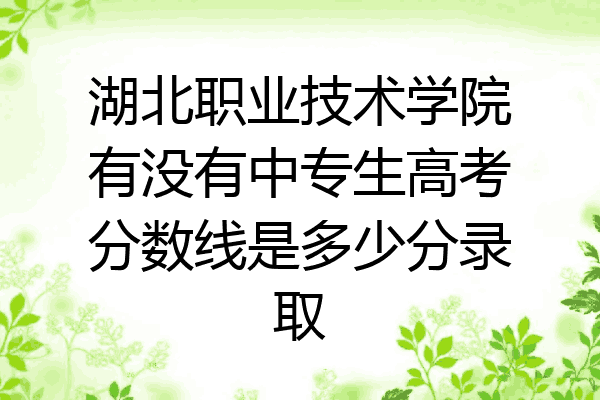 湖北职业技术学院有没有中专生高考分数线是多少分录取