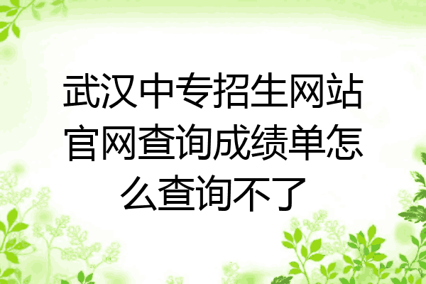 武汉中专招生网站官网查询成绩单怎么查询不了