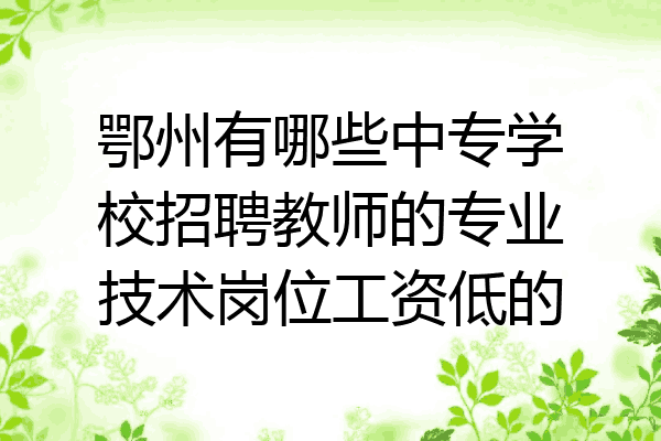鄂州有哪些中专学校招聘教师的专业技术岗位工资低的