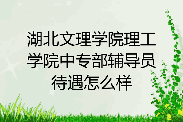 湖北文理学院理工学院中专部辅导员待遇怎么样