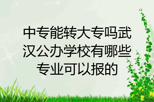 中专能转大专吗武汉公办学校有哪些专业可以报的