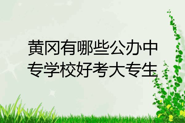 黄冈有哪些公办中专学校好考大专生