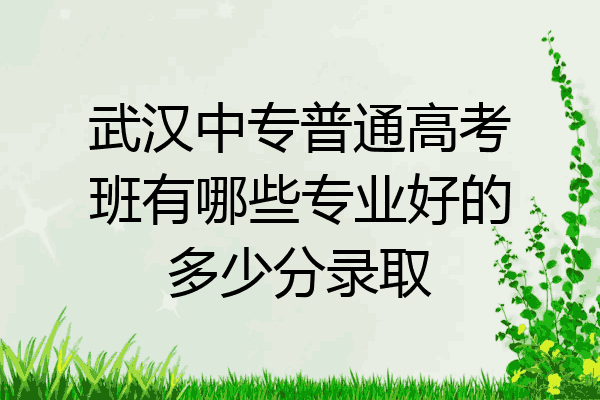 武汉中专普通高考班有哪些专业好的多少分录取