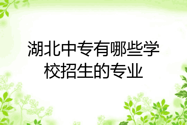 湖北中专有哪些学校招生的专业