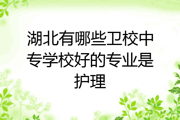 湖北有哪些卫校中专学校好的专业是护理