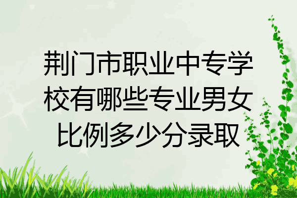 荆门市职业中专学校有哪些专业男女比例多少分录取