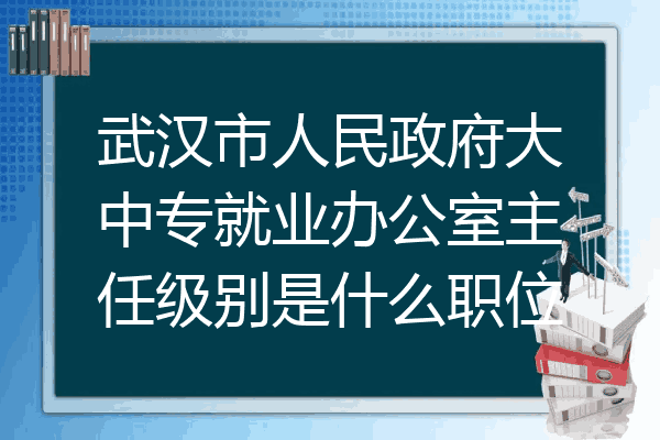 武汉市人民政府大中专就业办公室主任级别是什么职位