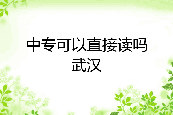 中专可以直接读吗武汉