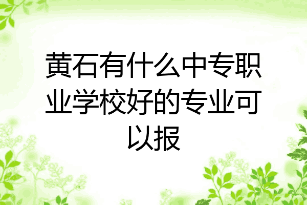黄石有什么中专职业学校好的专业可以报