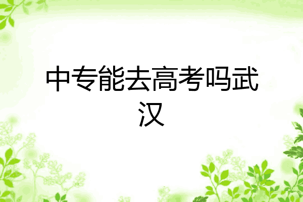 中专能去高考吗武汉