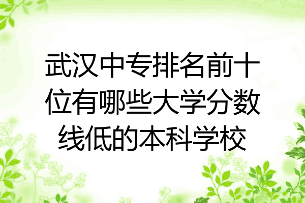 武汉中专排名前十位有哪些大学分数线低的本科学校