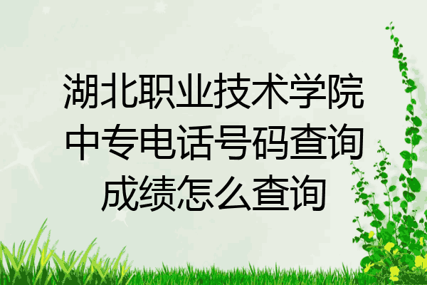 湖北职业技术学院中专电话号码查询成绩怎么查询