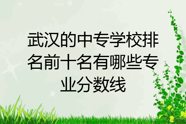 武汉的中专学校排名前十名有哪些专业分数线