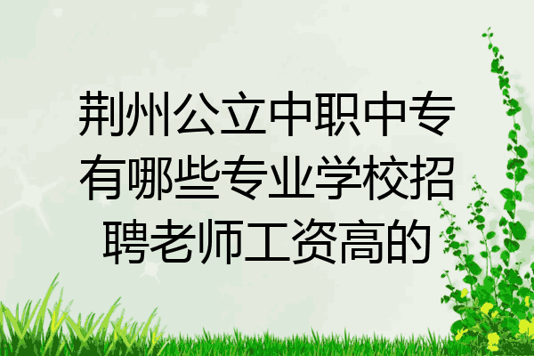 荆州公立中职中专有哪些专业学校招聘老师工资高的