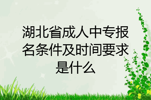 湖北省成人中专报名条件及时间要求是什么