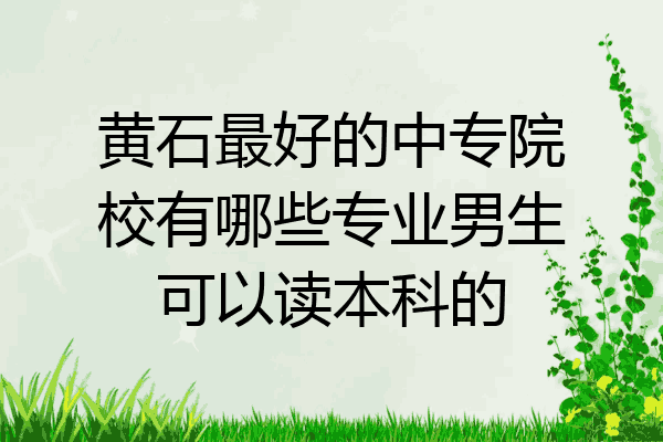 黄石最好的中专院校有哪些专业男生可以读本科的