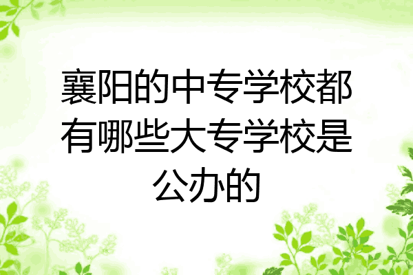 襄阳的中专学校都有哪些大专学校是公办的
