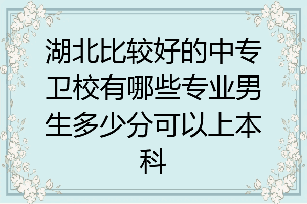 湖北比较好的中专卫校有哪些专业男生多少分可以上本科