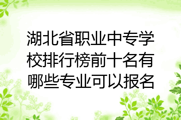 湖北省职业中专学校排行榜前十名有哪些专业可以报名