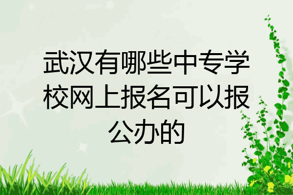 武汉有哪些中专学校网上报名可以报公办的