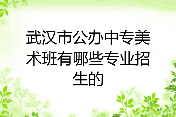 武汉市公办中专美术班有哪些专业招生的