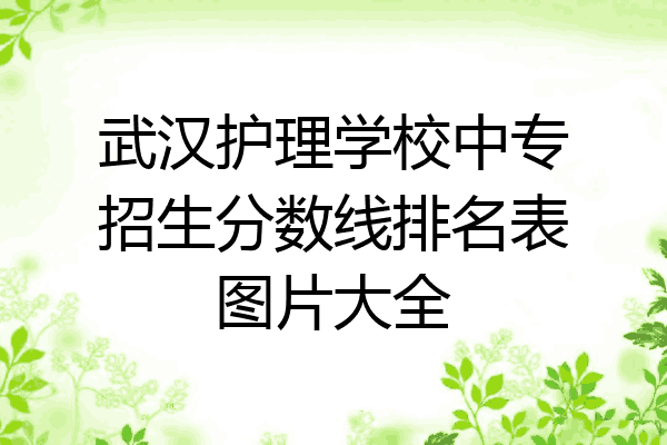 武汉护理学校中专招生分数线排名表图片大全