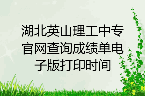湖北英山理工中专官网查询成绩单电子版打印时间
