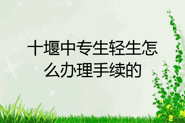 十堰中专生轻生怎么办理手续的