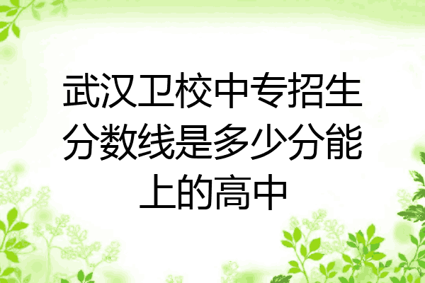武汉卫校中专招生分数线是多少分能上的高中