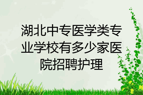 湖北中专医学类专业学校有多少家医院招聘护理