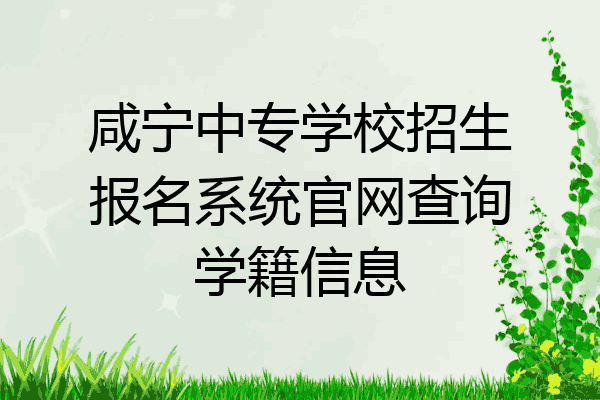 咸宁中专学校招生报名系统官网查询学籍信息