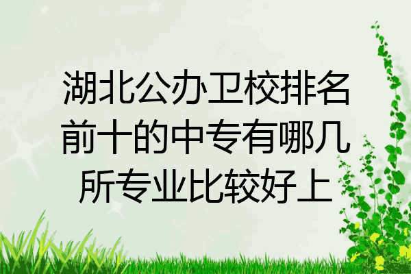 湖北公办卫校排名前十的中专有哪几所专业比较好上