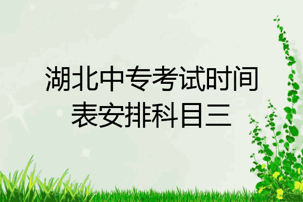 湖北中专考试时间表安排科目三