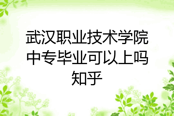 武汉职业技术学院中专毕业可以上吗知乎