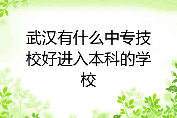 武汉有什么中专技校好进入本科的学校
