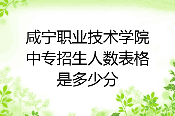 咸宁职业技术学院中专招生人数表格是多少分