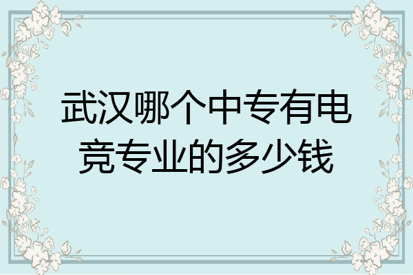 武汉哪个中专有电竞专业的多少钱