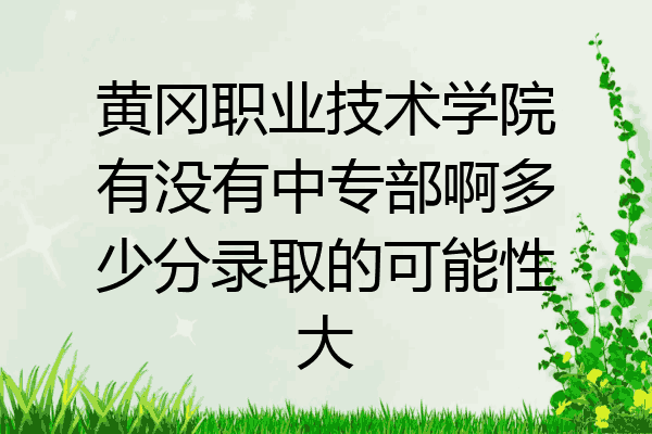 黄冈职业技术学院有没有中专部啊多少分录取的可能性大