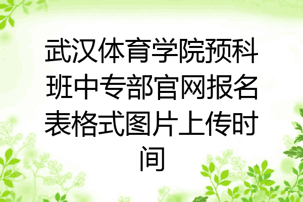 武汉体育学院预科班中专部官网报名表格式图片上传时间