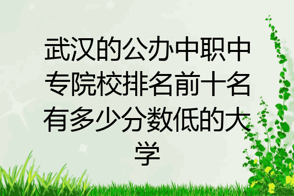 武汉的公办中职中专院校排名前十名有多少分数低的大学