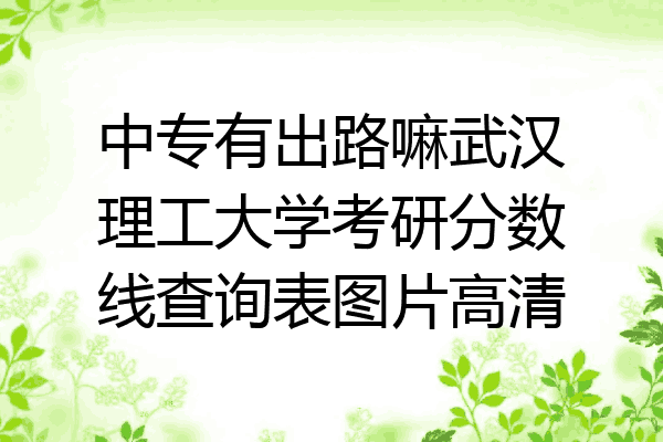 中专有出路嘛武汉理工大学考研分数线查询表图片高清